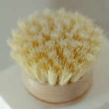 Load image into Gallery viewer, Casa Agave™ Long Handle Dish Brush - Replacement Head