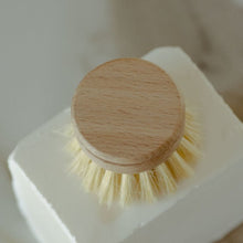 Load image into Gallery viewer, Casa Agave™ Long Handle Dish Brush - Replacement Head