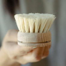 Load image into Gallery viewer, Casa Agave™ Long Handle Dish Brush - Replacement Head