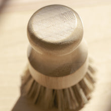 Load image into Gallery viewer, Casa Agave™ Pot Scrubber