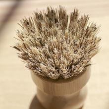 Load image into Gallery viewer, Casa Agave™ Pot Scrubber
